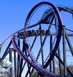 A close-up photo of a roller coaster car speeding between one of the track's loops.