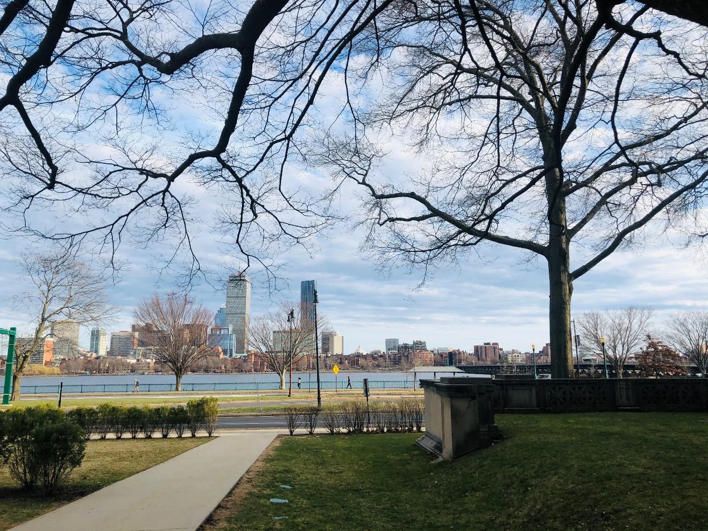 A view of the Charles River from under bare outstretched tree limbs on Killian Court.