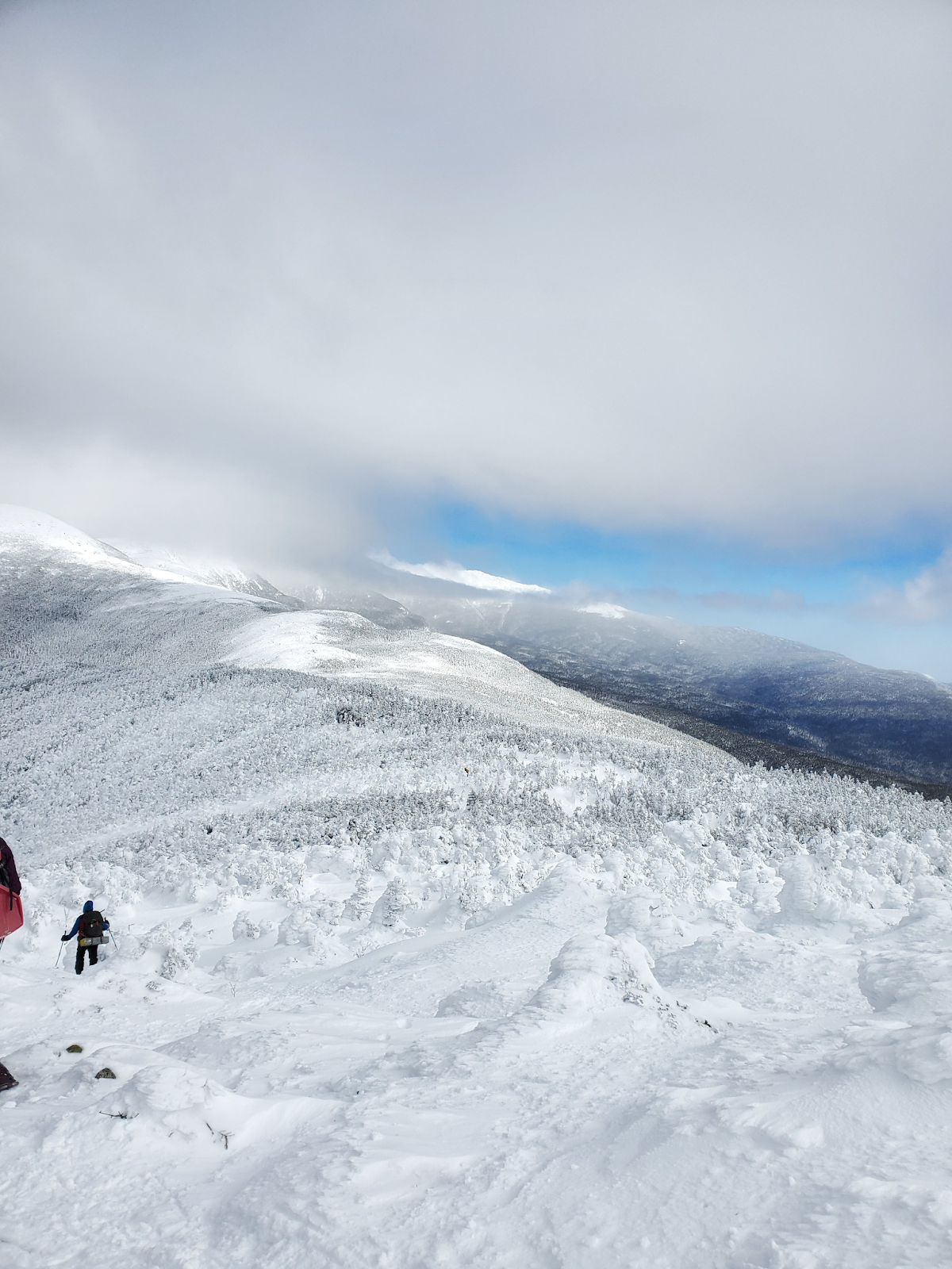 Windswept snow forms ridges over treetops at the top of Mount Pierce.